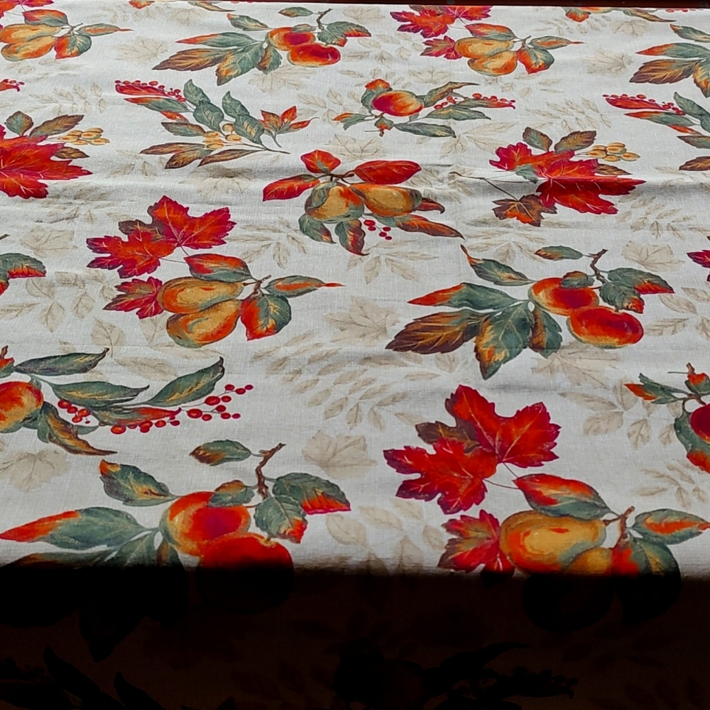 Table cloth never used